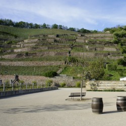 Radebeul Schloss Wackerbarth